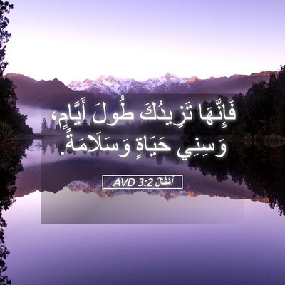 Picture 05 - أَمْثَالٌ 3:2 AVD - فَإِنَّهَا تَزِيدُكَ - Bible Verse Picture