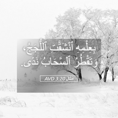 Picture 05 - أَمْثَالٌ 3:20 AVD - بِعِلْمِهِ ٱنْشَقَّتِ - Bible Verse Picture