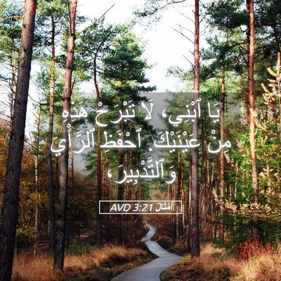 Picture 05 - أَمْثَالٌ 3:21 AVD - يَا ٱبْنِي، لَا تَبْرَحْ - Bible Verse Picture