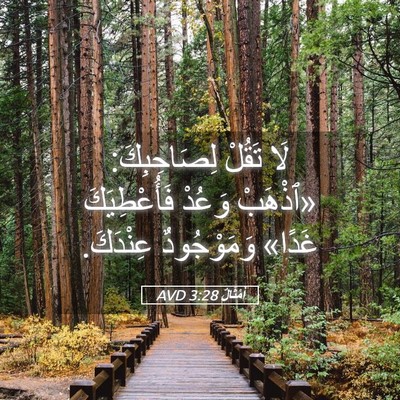 Picture 05 - أَمْثَالٌ 3:28 AVD - لَا تَقُلْ لِصَاحِبِكَ: - Bible Verse Picture