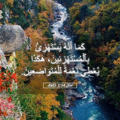 Picture 05 - أَمْثَالٌ 3:34 AVD - كَمَا أَنَّهُ - Bible Verse Picture