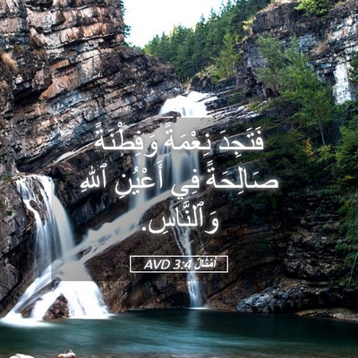 Picture 05 - أَمْثَالٌ 3:4 AVD - فَتَجِدَ نِعْمَةً - Bible Verse Picture