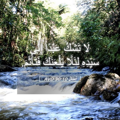 Picture 05 - أَمْثَالٌ 30:10 AVD - لَا تَشْكُ عَبْدًا إِلَى - Bible Verse Picture