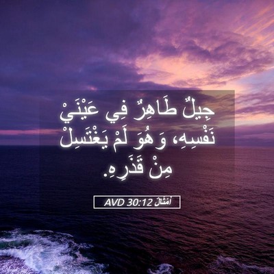Picture 05 - أَمْثَالٌ 30:12 AVD - جِيلٌ طَاهِرٌ فِي عَيْنَيْ - Bible Verse Picture