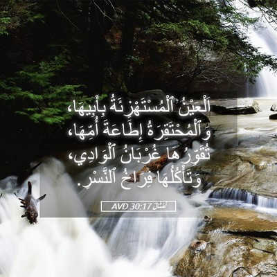 Picture 05 - أَمْثَالٌ 30:17 AVD - اَلْعَيْنُ - Bible Verse Picture