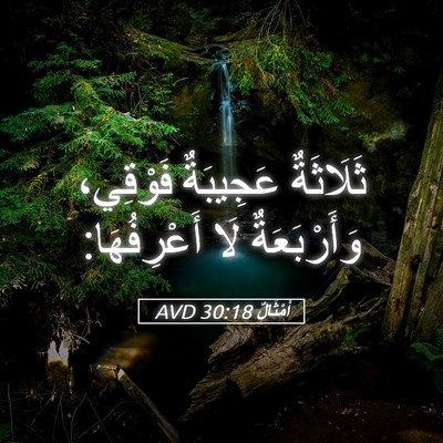 Picture 05 - أَمْثَالٌ 30:18 AVD - ثَلَاثَةٌ عَجِيبَةٌ - Bible Verse Picture