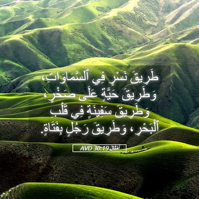 Picture 05 - أَمْثَالٌ 30:19 AVD - طَرِيقَ نَسْرٍ فِي - Bible Verse Picture