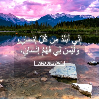 Picture 05 - أَمْثَالٌ 30:2 AVD - إِنِّي أَبْلَدُ مِن كُلِّ - Bible Verse Picture