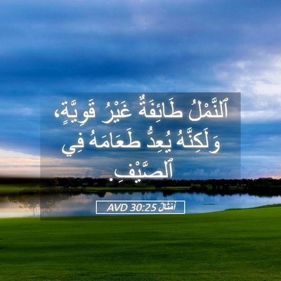 Picture 05 - أَمْثَالٌ 30:25 AVD - ٱلنَّمْلُ طَائِفَةٌ - Bible Verse Picture