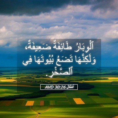Picture 05 - أَمْثَالٌ 30:26 AVD - ٱلْوِبَارُ طَائِفَةٌ - Bible Verse Picture