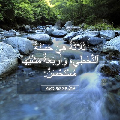 Picture 05 - أَمْثَالٌ 30:29 AVD - ثَلَاثَةٌ هِيَ حَسَنَةُ - Bible Verse Picture