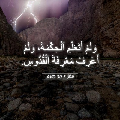 Picture 05 - أَمْثَالٌ 30:3 AVD - وَلَمْ أَتَعَلَّمِ - Bible Verse Picture