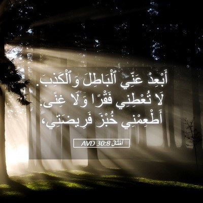 Picture 05 - أَمْثَالٌ 30:8 AVD - أَبْعِدْ عَنِّي - Bible Verse Picture