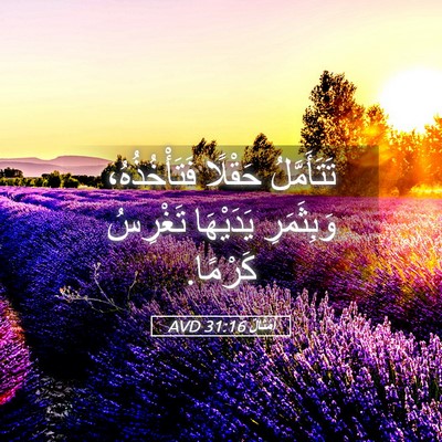 Picture 05 - أَمْثَالٌ 31:16 AVD - تَتَأَمَّلُ حَقْلًا - Bible Verse Picture