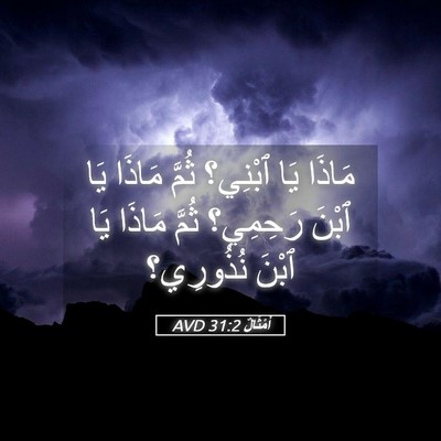 Picture 05 - أَمْثَالٌ 31:2 AVD - مَاذَا يَا ٱبْنِي؟ ثُمَّ - Bible Verse Picture