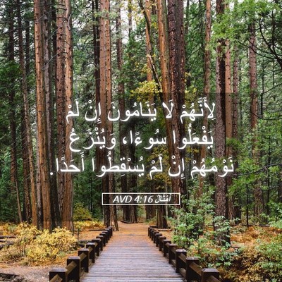 Picture 05 - أَمْثَالٌ 4:16 AVD - لِأَنَّهُمْ لَا - Bible Verse Picture