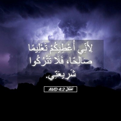 Picture 05 - أَمْثَالٌ 4:2 AVD - لِأَنِّي أُعْطِيكُمْ - Bible Verse Picture