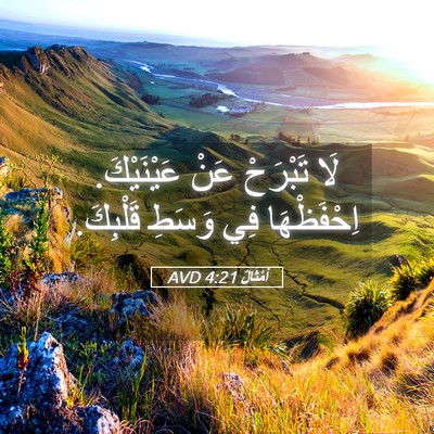 Picture 05 - أَمْثَالٌ 4:21 AVD - لَا تَبْرَحْ عَنْ - Bible Verse Picture