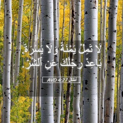 Picture 05 - أَمْثَالٌ 4:27 AVD - لَا تَمِلْ يَمْنَةً وَلَا - Bible Verse Picture