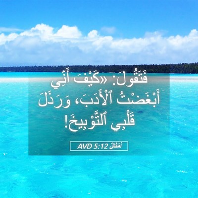 Picture 05 - أَمْثَالٌ 5:12 AVD - فَتَقُولَ: «كَيْفَ أَنِّي - Bible Verse Picture