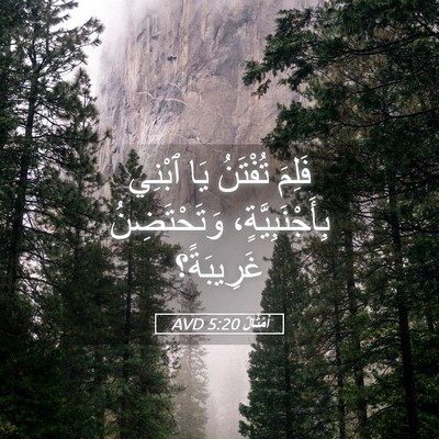 Picture 05 - أَمْثَالٌ 5:20 AVD - فَلِمَ تُفْتَنُ يَا ٱبْنِي - Bible Verse Picture