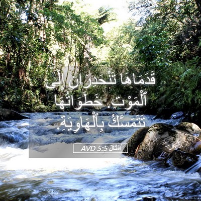 Picture 05 - أَمْثَالٌ 5:5 AVD - قَدَمَاهَا تَنْحَدِرَانِ - Bible Verse Picture