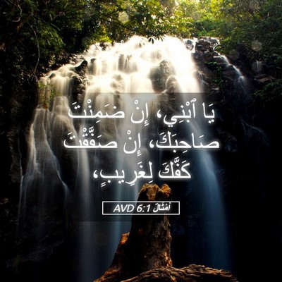 Picture 05 - أَمْثَالٌ 6:1 AVD - يَا ٱبْنِي، إِنْ ضَمِنْتَ - Bible Verse Picture