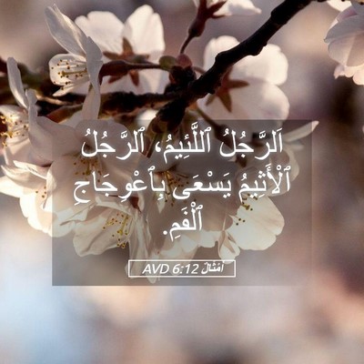 Picture 05 - أَمْثَالٌ 6:12 AVD - اَلرَّجُلُ ٱللَّئِيمُ، - Bible Verse Picture
