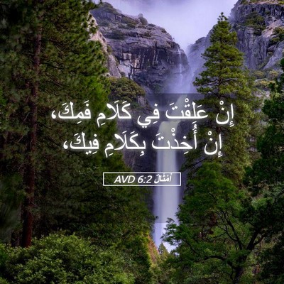 Picture 05 - أَمْثَالٌ 6:2 AVD - إِنْ عَلِقْتَ فِي كَلَامِ - Bible Verse Picture