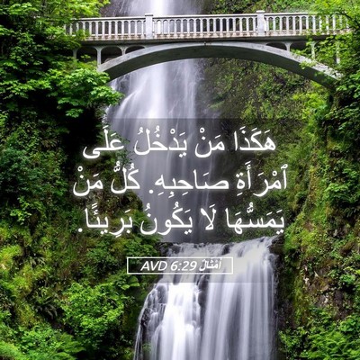 Picture 05 - أَمْثَالٌ 6:29 AVD - هَكَذَا مَنْ يَدْخُلُ - Bible Verse Picture
