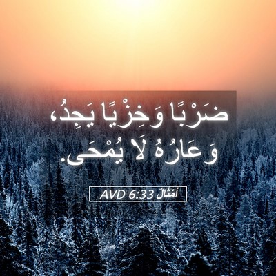 Picture 05 - أَمْثَالٌ 6:33 AVD - ضَرْبًا وَخِزْيًا يَجِدُ، - Bible Verse Picture