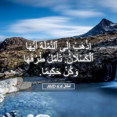 Picture 05 - أَمْثَالٌ 6:6 AVD - اِذْهَبْ إِلَى - Bible Verse Picture