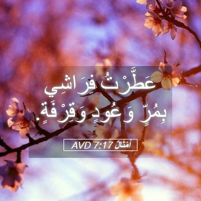 Picture 05 - أَمْثَالٌ 7:17 AVD - عَطَّرْتُ فِرَاشِي - Bible Verse Picture