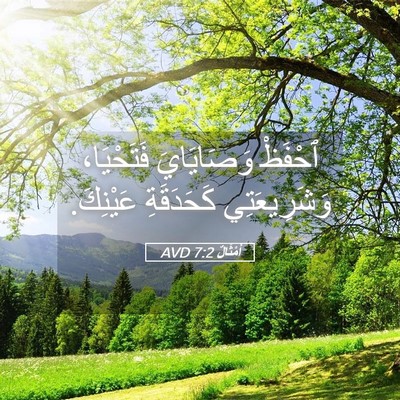 Picture 05 - أَمْثَالٌ 7:2 AVD - ٱحْفَظْ وَصَايَايَ - Bible Verse Picture