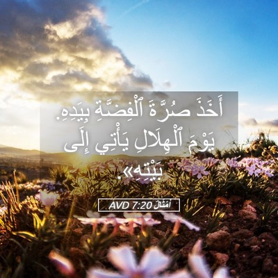 Picture 05 - أَمْثَالٌ 7:20 AVD - أَخَذَ صُرَّةَ ٱلْفِضَّةِ - Bible Verse Picture