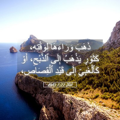 Picture 05 - أَمْثَالٌ 7:22 AVD - ذَهَبَ وَرَاءَهَا - Bible Verse Picture