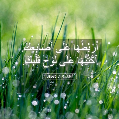 Picture 05 - أَمْثَالٌ 7:3 AVD - اُرْبُطْهَا عَلَى - Bible Verse Picture