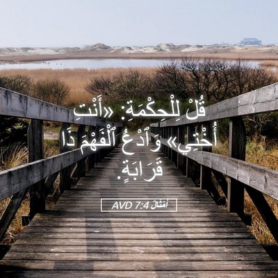 Picture 05 - أَمْثَالٌ 7:4 AVD - قُلْ لِلْحِكْمَةِ: «أَنْتِ - Bible Verse Picture