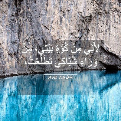 Picture 05 - أَمْثَالٌ 7:6 AVD - لِأَنِّي مِنْ كُوَّةِ - Bible Verse Picture
