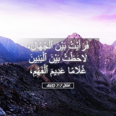 Picture 05 - أَمْثَالٌ 7:7 AVD - فَرَأَيْتُ بَيْنَ - Bible Verse Picture