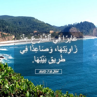 Picture 05 - أَمْثَالٌ 7:8 AVD - عَابِرًا فِي ٱلشَّارِعِ - Bible Verse Picture