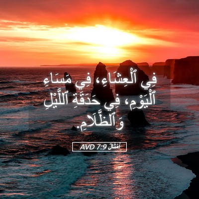 Picture 05 - أَمْثَالٌ 7:9 AVD - فِي ٱلْعِشَاءِ، فِي - Bible Verse Picture