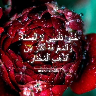 Picture 05 - أَمْثَالٌ 8:10 AVD - خُذُوا تَأْدِيبِي لَا - Bible Verse Picture
