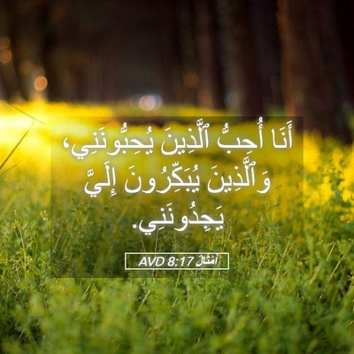Picture 05 - أَمْثَالٌ 8:17 AVD - أَنَا أُحِبُّ ٱلَّذِينَ - Bible Verse Picture