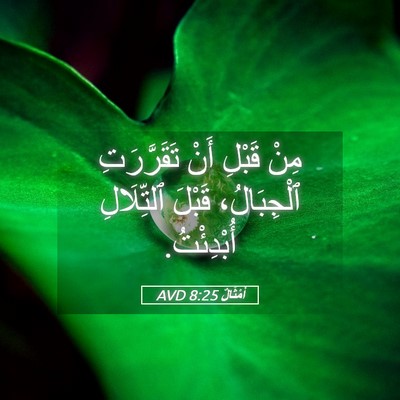 Picture 05 - أَمْثَالٌ 8:25 AVD - مِنْ قَبْلِ أَنْ - Bible Verse Picture