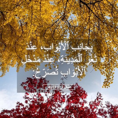 Picture 05 - أَمْثَالٌ 8:3 AVD - بِجَانِبِ ٱلْأَبْوَابِ، - Bible Verse Picture