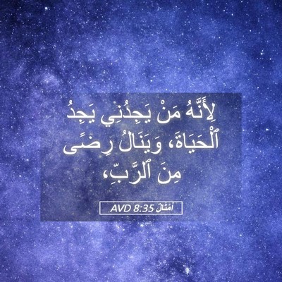 Picture 05 - أَمْثَالٌ 8:35 AVD - لِأَنَّهُ مَنْ يَجِدُنِي - Bible Verse Picture