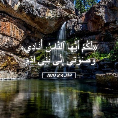 Picture 05 - أَمْثَالٌ 8:4 AVD - «لَكُمْ أَيُّهَا ٱلنَّاسُ - Bible Verse Picture