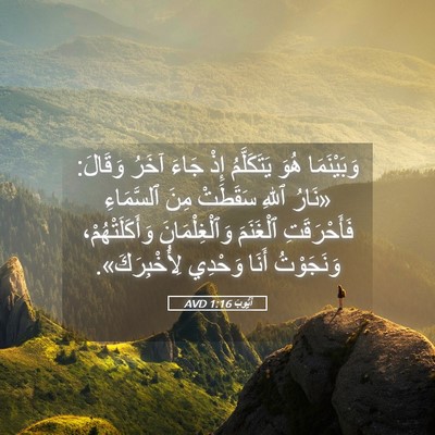 Picture 05 - أَيُّوبَ 1:16 AVD - وَبَيْنَمَا هُوَ - Bible Verse Picture