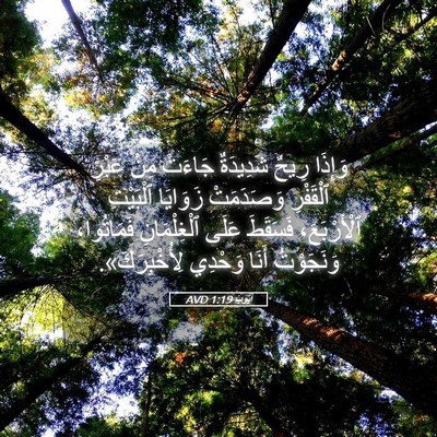 Picture 05 - أَيُّوبَ 1:19 AVD - وَإِذَا رِيحٌ شَدِيدَةٌ - Bible Verse Picture